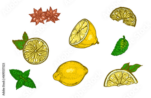 Hand drawn lemons, slices, mint leaves and star anise. Colorful citrus fruit illustration isolated on white background