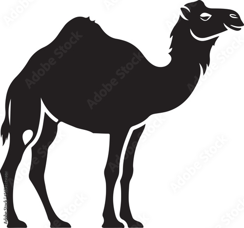 Elegant Black Camel Silhouette in Side View for Desert Wildlife and Travel Inspired Designs Camelus dromedarius Vector Illustration Graphic Isolated on White Background