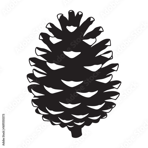 Spruce cone, black silhouette of coniferous decor on transparent background, vector drawing for stencil