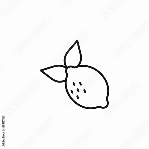 lemon citrus fruit icon sign vector