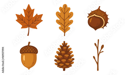Autumn botanical elements collection: maple, oak, acorn, pine cone, chestnut, branch