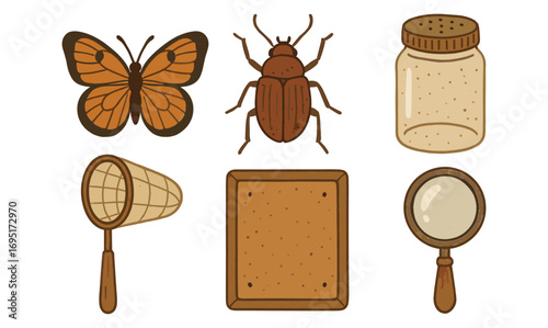 Vintage insect collecting set with butterfly, beetle, and tools