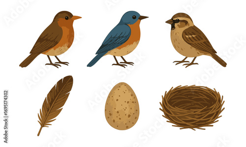 Charming songbirds and nature elements in rustic illustration style
