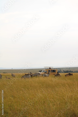 Fotografie aisagem deslumbrante da savana africana ao entardecer, com céu dourado, árvores