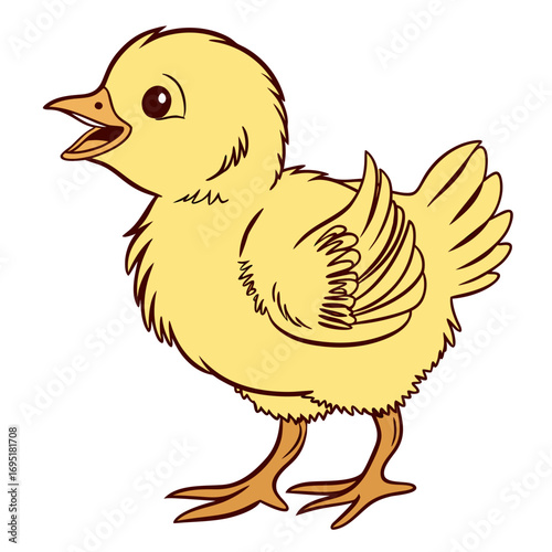 Cute yellow chick standing and chirping loudly