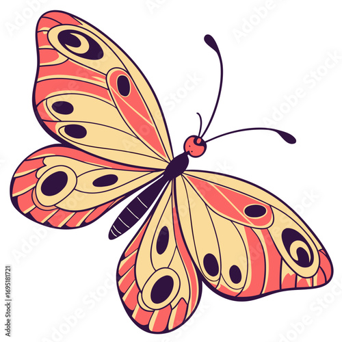 Butterfly illustration, vector design element