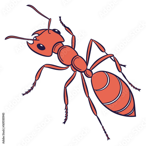 Ant crawling