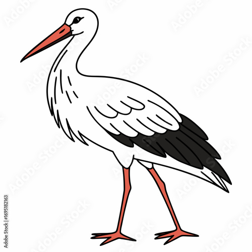 Illustration of a stork standing on two legs