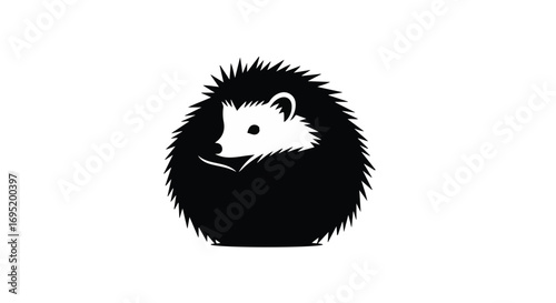 Cute hedgehog curled into a ball, white background