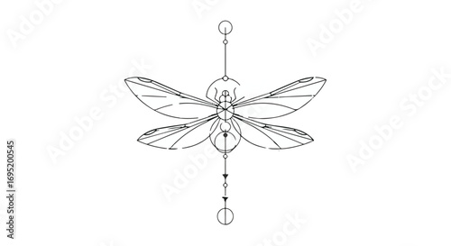 Elegant geometric dragonfly illustration with celestial accents