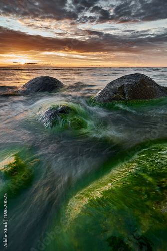 Sea Stone with Green Algae at Sunset