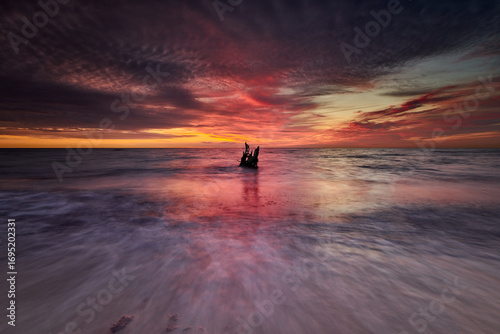 Driftwood in Moody Evening Light at the Coast Weststrand