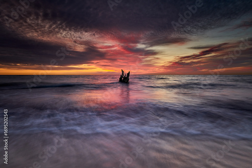 Driftwood in Moody Evening Light at the Coast Weststrand