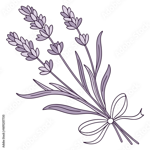 Illustration of lavender flowers