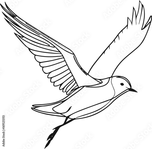 Flying bird outline black and white line drawing with open wings minimal contour style