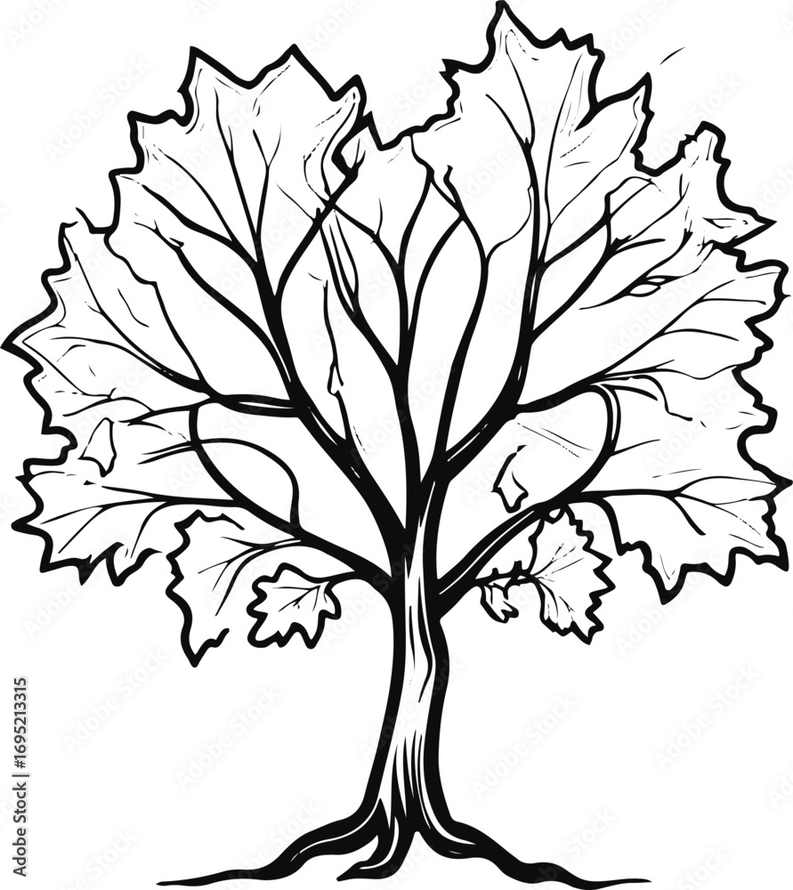 Obraz premium Maple Tree Crown Outline Black Line Drawing for Seasonal Icon and Logo 2