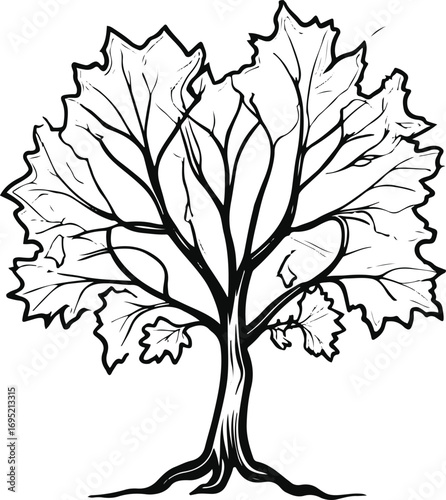 Maple Tree Crown Outline Black Line Drawing for Seasonal Icon and Logo 2