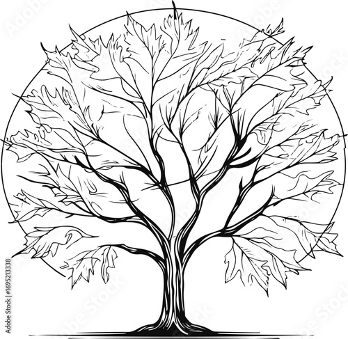 Maple Tree Crown Outline Black Line Drawing for Seasonal Icon and Logo