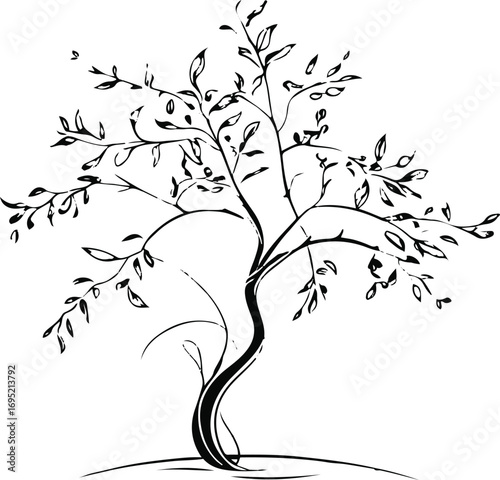 Willow Tree Outline Minimalist Black and White Line Art for Logo and Label 1