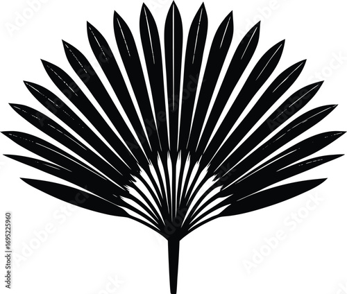 Palm Frond Fan Silhouette | Palm Leaf Fan Silhouette