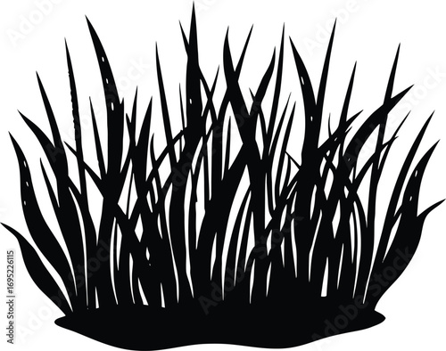 Seagrass Bed Silhouette | Seagrass Underwater Silhouette