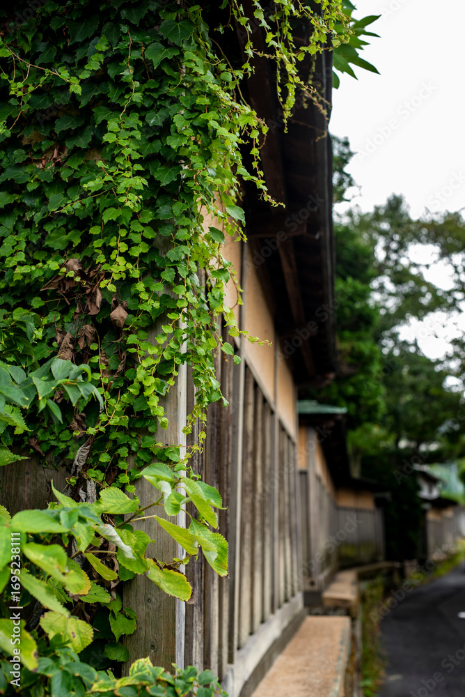 Fototapeta premium 鎌倉2594 二階堂1 街角