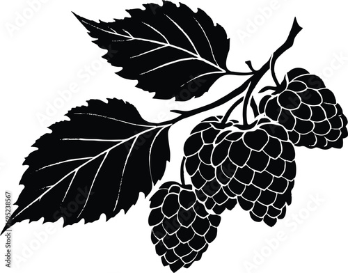 Mulberry Branch Silhouette