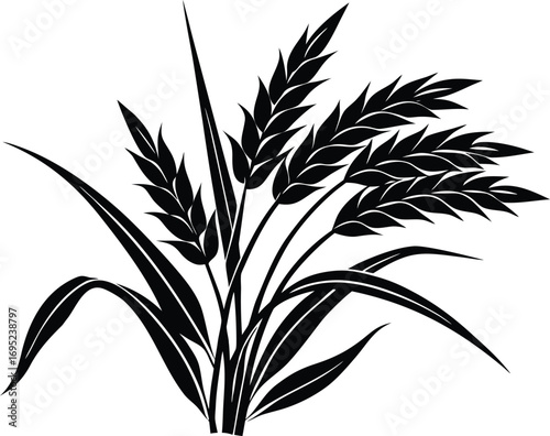 Rice Stalk With Grain Silhouette