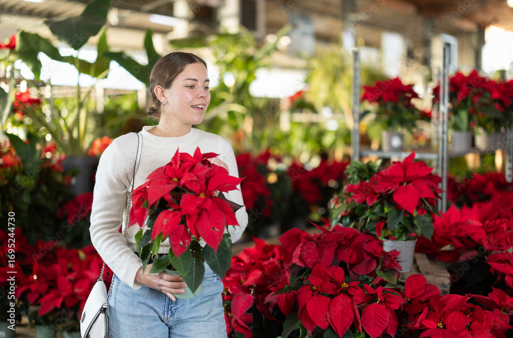 Fototapeta premium Young woman customer with product in hands at fair chooses potted plant to decorate interior. Visitor examines young poinsettia seedling. Hobby is floriculture. Client buy potted plant in shop
