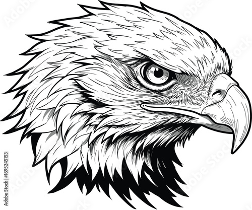 Eagle, bird, predator, wildlife, raptor, fierce, beak, feathers, nature, sketch, illustration, black, white, head, profile, drawing, animal, majestic, detailed, vector