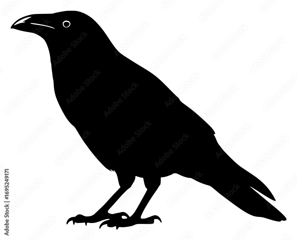 Fototapeta premium Silhouette of a raven in profile on a white background