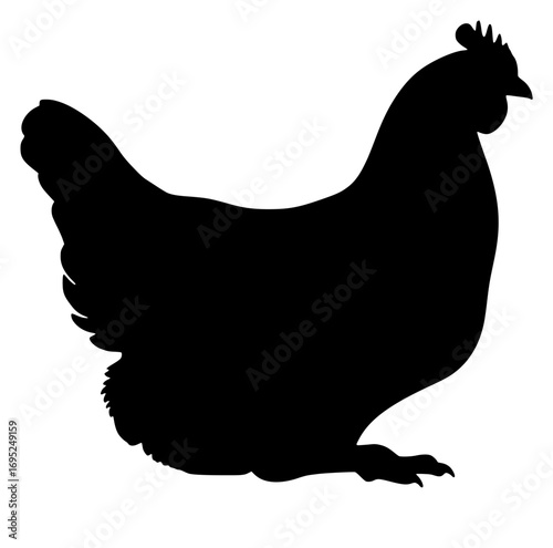 Rooster Silhouette on White Background