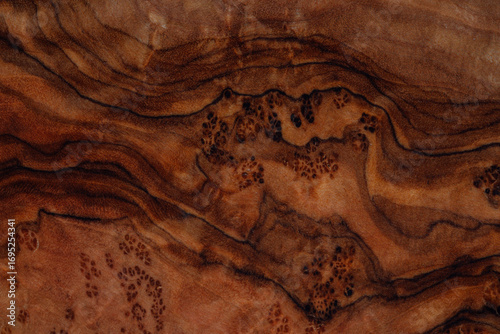 olive wood texture background