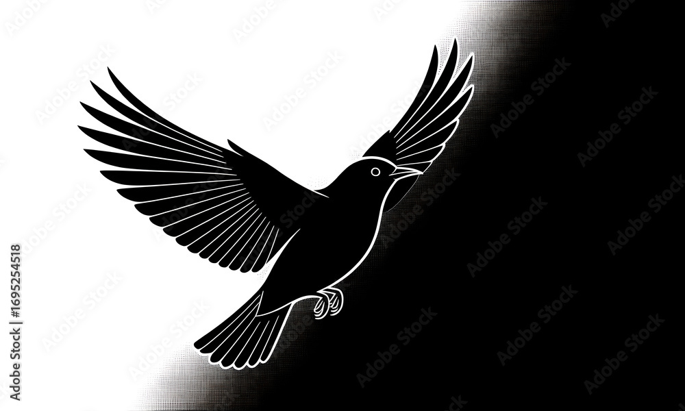 Fototapeta premium Elegant Monochrome Illustration: Bird in Flight Against Contrasting Black and White