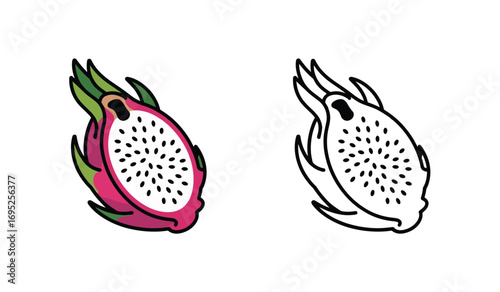 Colorful and Outline Dragon Fruit Vector Illustration on White Background