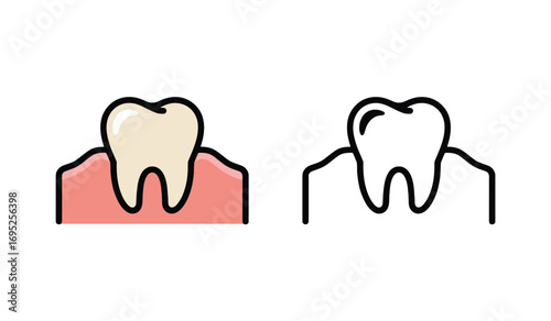 Two teeth illustration healthy molar with pink gums design vector