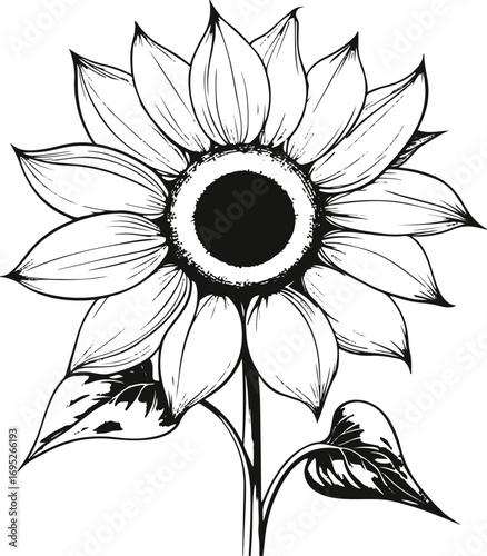 Sunflower bold contour black line drawing with large petals and circular center clean art