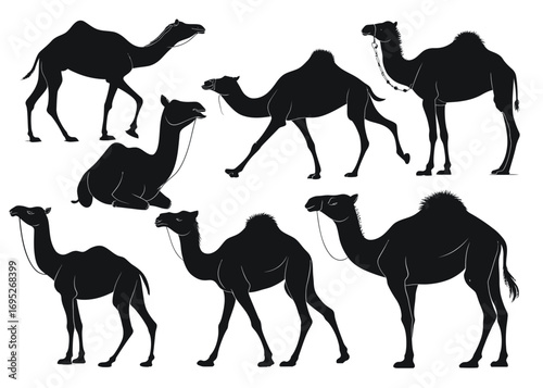 Silhouette illustration featuring seven camels in various poses on a white background design element