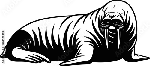 arctic walrus silhouette majestic ocean monarch, tranquil coastal giant, powerful emblem, isolated on transparent background
