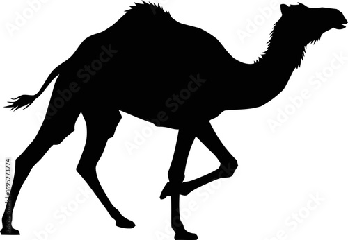 desert camel silhouette majestic journey, ancient traveler, black icon, isolated on transparent background