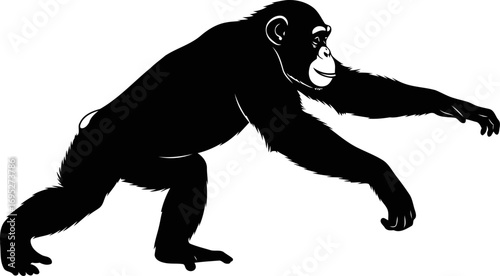 chimpanzee reaching out silhouette of primate connection, gentle curiosity, and wild intelligence, isolated on transparent background