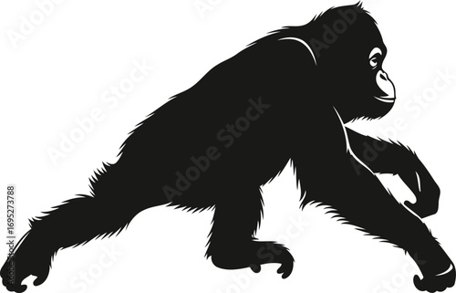 chimpanzees cautious creep a silhouette of primate stealth, observation, and quiet power, isolated on transparent background