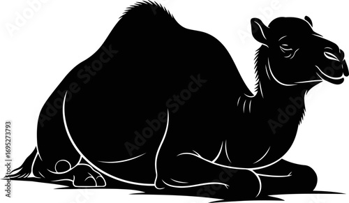 desert camel silhouette reposing majestically, a symbol of tranquil strength and desert wisdom, isolated on transparent background