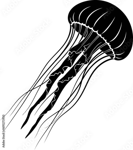 elegant black jellyfish silhouette icon of ocean depth, graceful movement, and mysterious beauty, isolated on transparent background