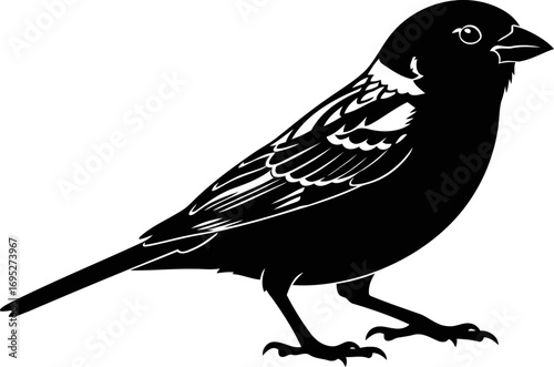elegant blackbird silhouette a symbol of quiet strength, natural beauty, and serene mystery, isolated on transparent background