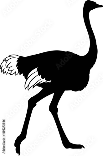 elegant ostrich silhouette a serene stride across the african savanna, isolated on transparent background