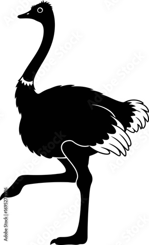 elegant ostrich silhouette a of african savanna grace and avian majesty, isolated on transparent background