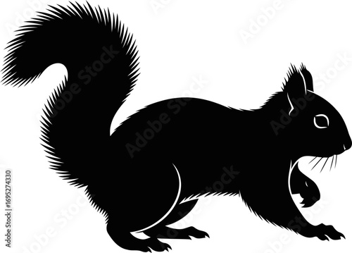 majestic black squirrel silhouette a icon of woodland charm, natures stealth, and buoyant energy, isolated on transparent background