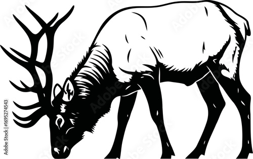majestic elk silhouette icon of serene majesty, antlered grandeur, and wild forest spirit, isolated on transparent background