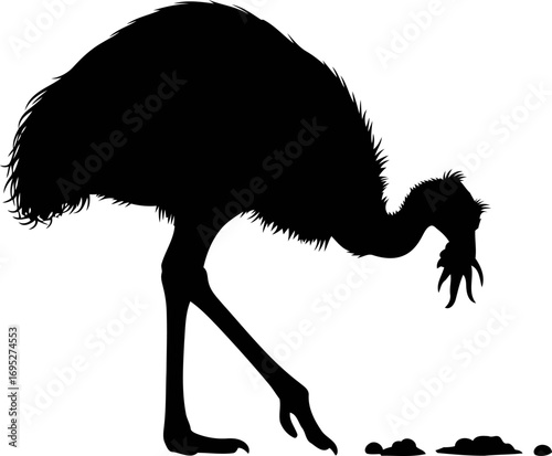 majestic emeu silhouette a emblem of outback serenity and avian grace, isolated on transparent background